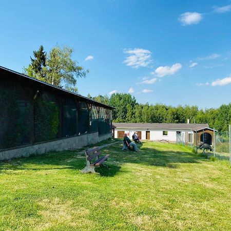 Garni Hotel Pyramida Cheb Eksteriør billede