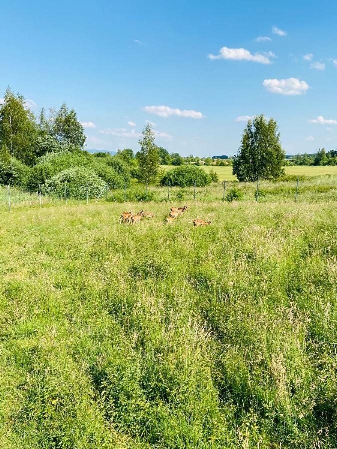 Garni Hotel Pyramida Cheb Eksteriør billede